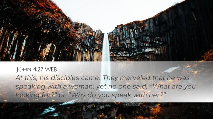 John 4:27 WEB Bible Verse Image
