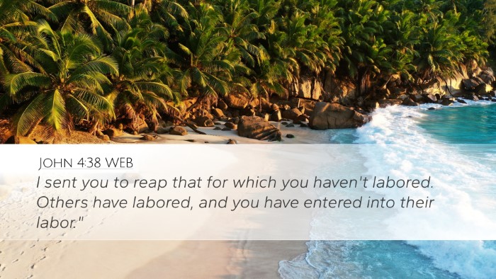 John 4:38 WEB Bible Verse Image