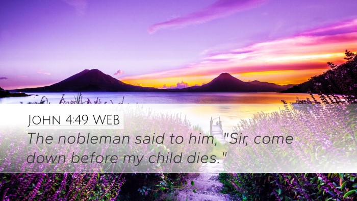 John 4:49 WEB Desktop Wallpaper - The nobleman said to him, 