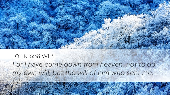 John 6:38 WEB Bible Verse Image