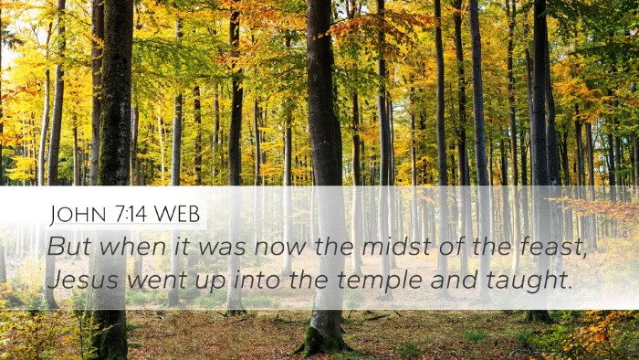 John 7:14 WEB Bible Verse Image