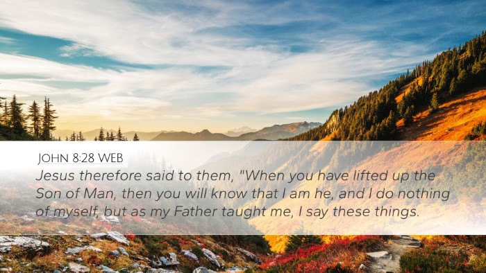 John 8:28 WEB Bible Verse Image