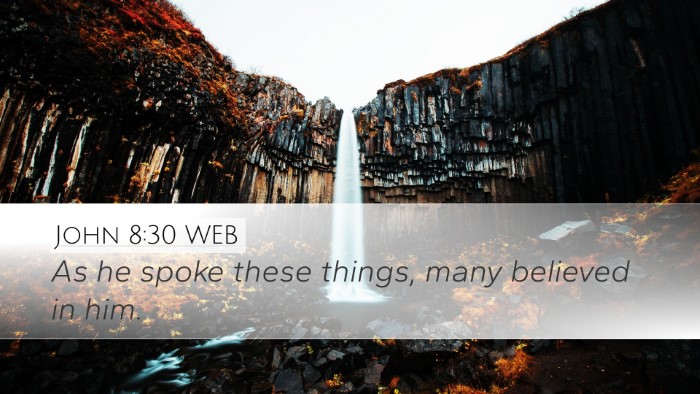 John 8:30 WEB Bible Verse Image