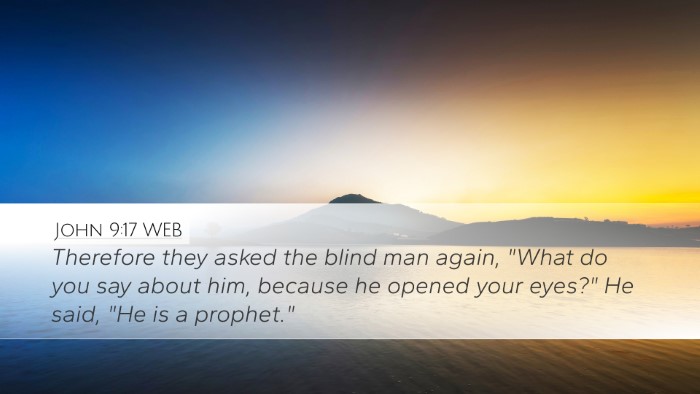 John 9:17 WEB Bible Verse Image