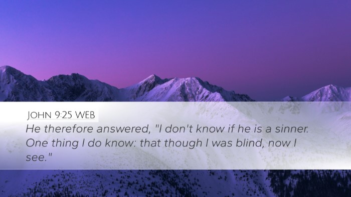 John 9:25 WEB Desktop Wallpaper - He therefore answered, 