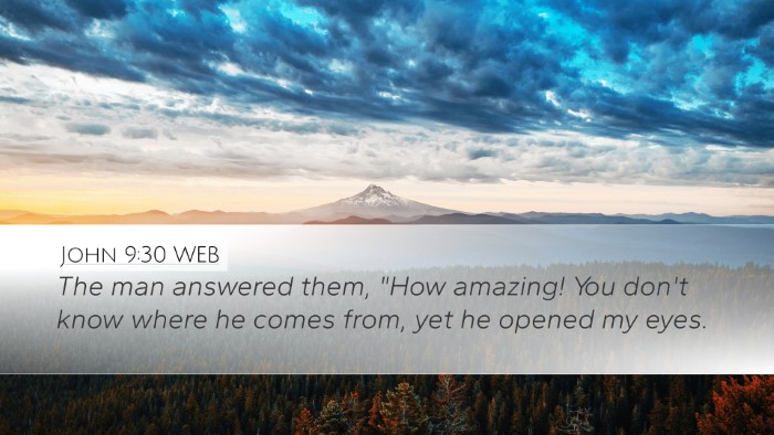 John 9:30 WEB Bible Verse Image