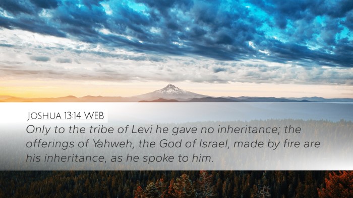 Joshua 13:14 WEB Bible Verse Image