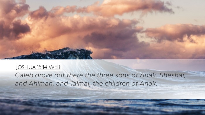 Joshua 15:14 WEB Bible Verse Image