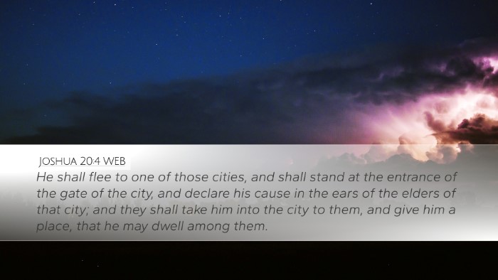 Joshua 20:4 WEB Desktop Wallpaper - He shall flee to one of those cities, and shall - Desktop Bible Verse Wallpaper
