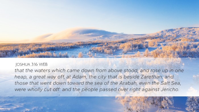 Joshua 3:16 WEB Bible Verse Image