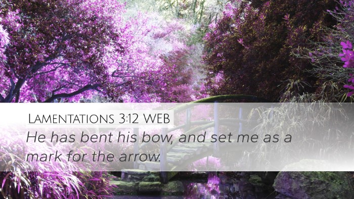Lamentations 3:12 WEB Bible Verse Image