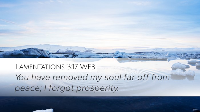 Lamentations 3:17 WEB Desktop Wallpaper - You have removed my soul far off from peace; I - Desktop Bible Verse Wallpaper