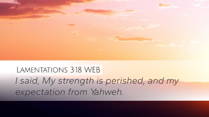 Lamentations 3:18 WEB Bible Verse Image