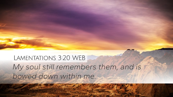 Lamentations 3:20 WEB Bible Verse Image