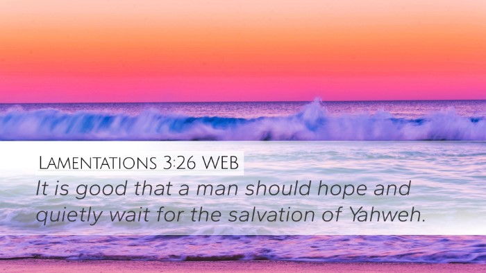 Lamentations 3:26 WEB Bible Verse Image