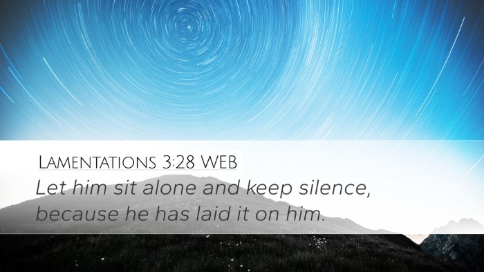 Lamentations 3:28 WEB Bible Verse Image