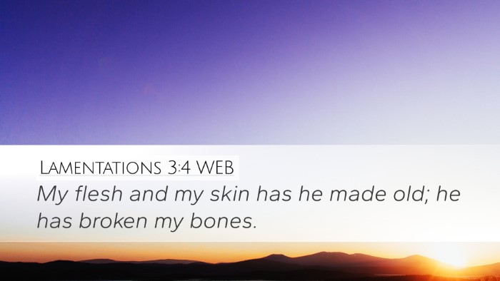 Lamentations 3:4 WEB Bible Verse Image