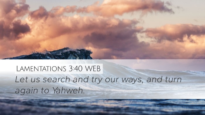 Lamentations 3:40 WEB Bible Verse Image