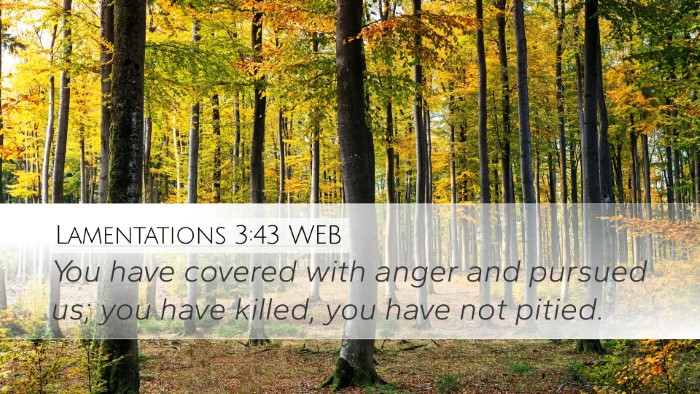 Lamentations 3:43 WEB Bible Verse Image