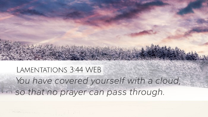 Lamentations 3:44 WEB Bible Verse Image