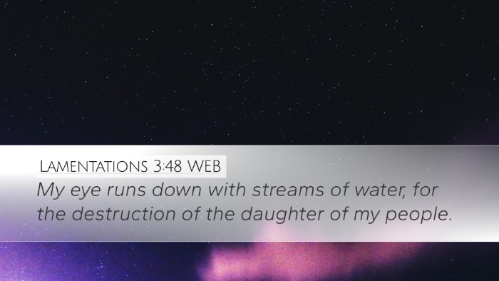 Lamentations 3:48 WEB Bible Verse Image