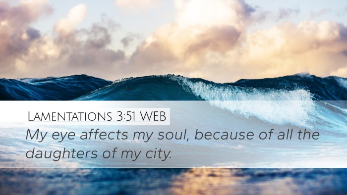 Lamentations 3:51 WEB Bible Verse Image
