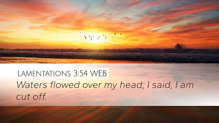 Lamentations 3:54 WEB Bible Verse Image