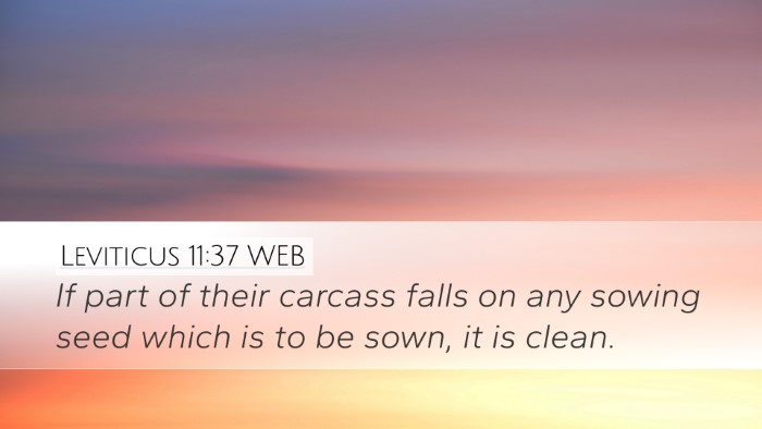 Leviticus 11:37 WEB Desktop Wallpaper - If part of their carcass falls on any sowing seed - Desktop Bible Verse Wallpaper