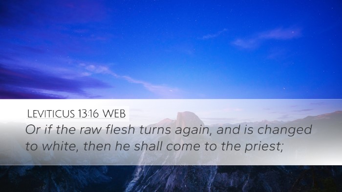 Leviticus 13:16 WEB Desktop Wallpaper - Or if the raw flesh turns again, and is changed - Desktop Bible Verse Wallpaper