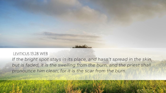 Leviticus 13:28 WEB Desktop Wallpaper - If the bright spot stays in its place, and hasn't - Desktop Bible Verse Wallpaper