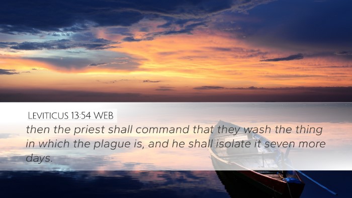 Leviticus 13:54 WEB Desktop Wallpaper - then the priest shall command that they wash the - Desktop Bible Verse Wallpaper