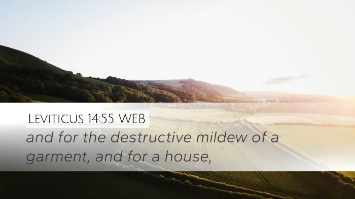 Leviticus 14:55 WEB Desktop Wallpaper - and for the destructive mildew of a garment, and - Desktop Bible Verse Wallpaper