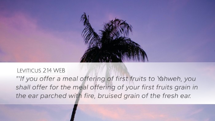 Leviticus 2:14 WEB Bible Verse Image