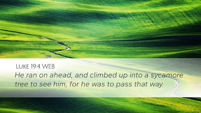 Luke 19:4 WEB Bible Verse Image