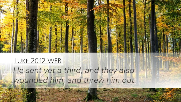 Luke 20:12 WEB Bible Verse Image