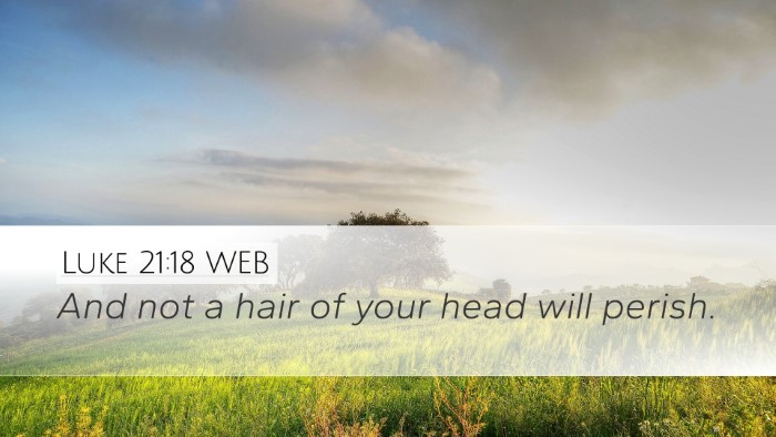 Luke 21:18 WEB Bible Verse Image