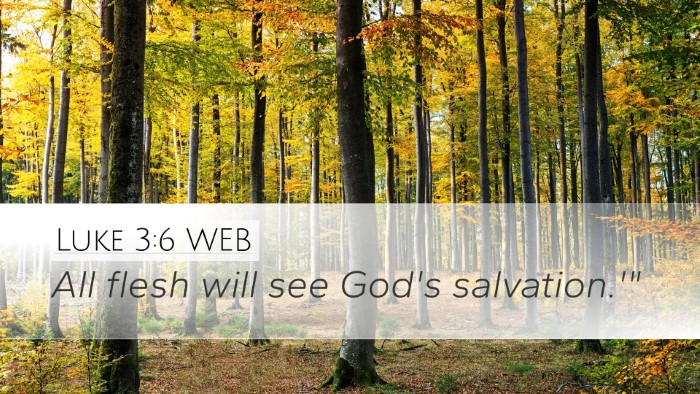 Luke 3:6 WEB Bible Verse Image