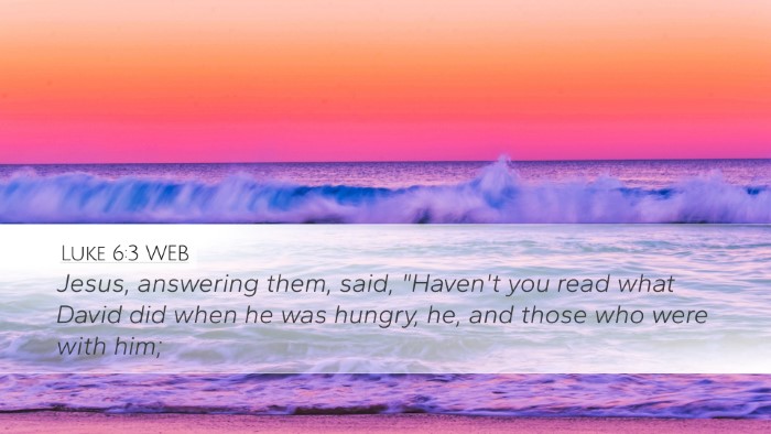 Luke 6:3 WEB Desktop Wallpaper - Jesus, answering them, said, 