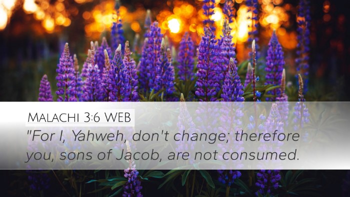Malachi 3:6 WEB Bible Verse Image