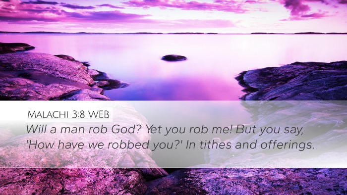 Malachi 3:8 WEB Bible Verse Image