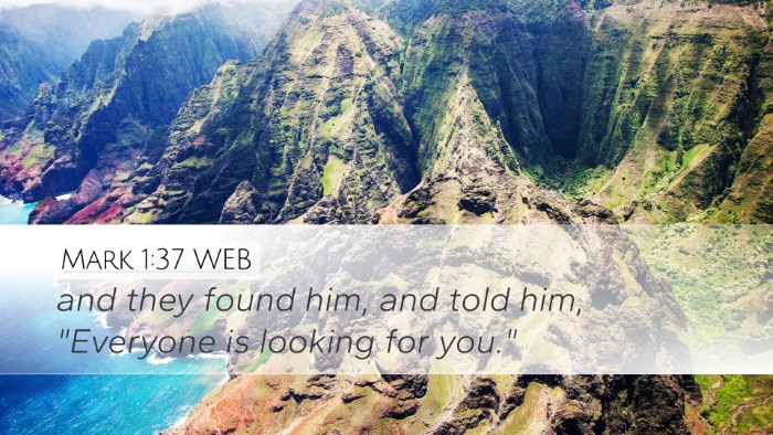 Mark 1:37 WEB Desktop Wallpaper - and they found him, and told him, 