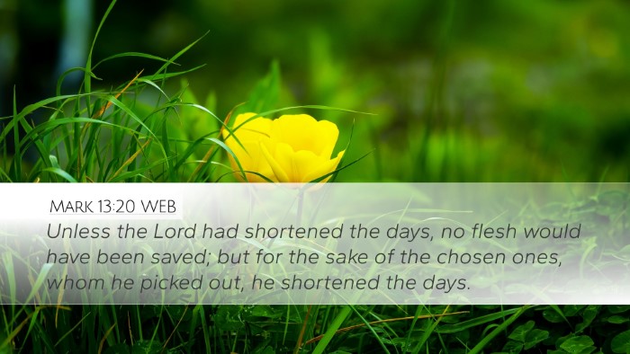 Mark 13:20 WEB Bible Verse Image