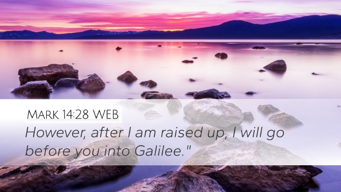 Mark 14:28 WEB Bible Verse Image