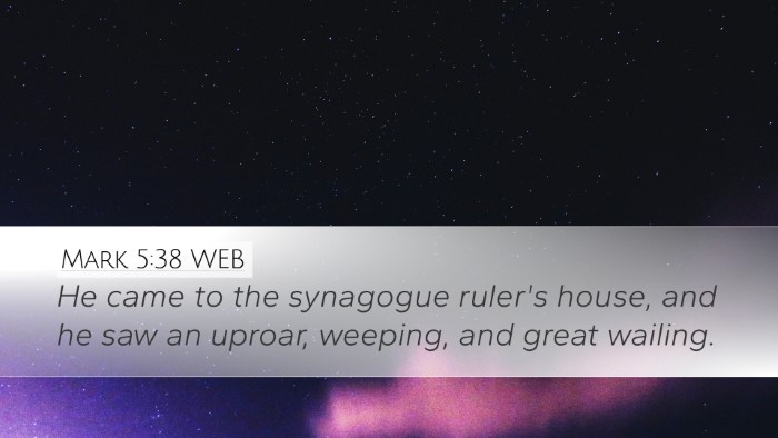 Mark 5:38 WEB Bible Verse Image