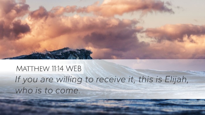 Matthew 11:14 WEB Bible Verse Image