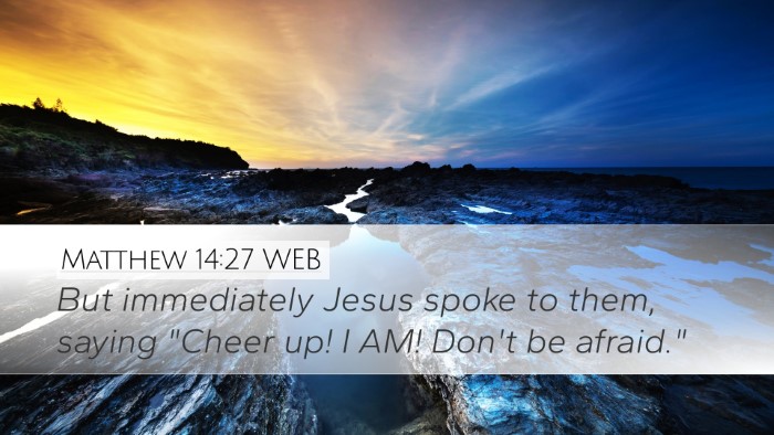 Matthew 14:27 WEB Bible Verse Image