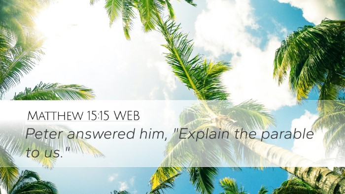 Matthew 15:15 WEB Desktop Wallpaper - Peter answered him, 