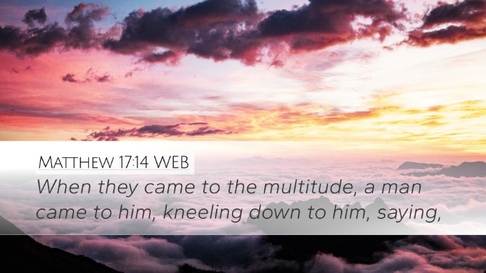 Matthew 17:14 WEB Bible Verse Image