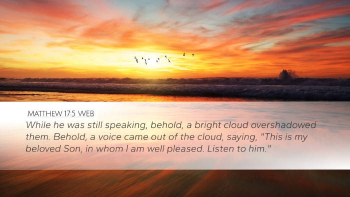 Matthew 17:5 WEB Bible Verse Image