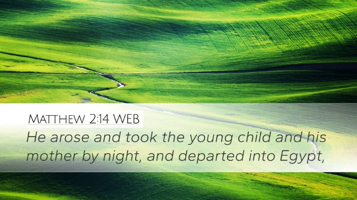 Matthew 2:14 WEB Desktop Wallpaper - He arose and took the young child and his mother - Desktop Bible Verse Wallpaper